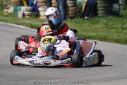 20110501_ales_agnus (2152)